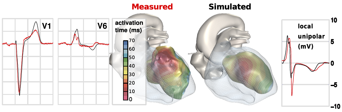 measured simulated