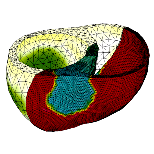 A Flexible High Performance Approach to Cardiac Electromechanics